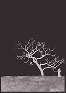 2025-11-04/ab38deed-ab66-4d97-a276-3f596ec2ac35