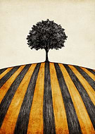 2025-11-04/cdc78ba9-84b7-49a2-bbf3-6aa48ed785c8