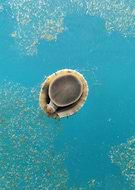 2025-11-07/1c844300-1a91-4ade-ae4f-5a90a34e87bb