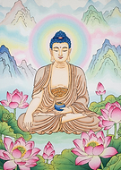 2025-11-07/34cd9748-f67b-473f-96ab-5339d806fc3c