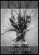 2025-11-07/388f4fc0-7a18-4adb-b3a3-569e69e5dbf5