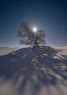 2025-11-09/46aa1da2-82f7-48b9-9e1c-6739cca6de39