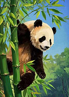 2025-11-11/456e2e2d-07d9-433d-9c8c-93435f130ace