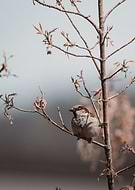 2025-11-12/f083658b-185f-45a8-a352-767b3dd65b39