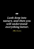 2025-11-13/2141dead-c98f-4392-b676-582a967dd046