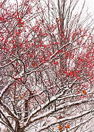 2025-11-14/83c48abd-7d25-494a-a086-4af3702595ae