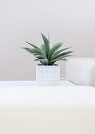 2025-11-24/2829bd7c-426b-41f2-b1b6-c003ae248620