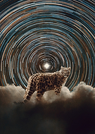 2025-11-25/41c4117b-216c-4f9a-806e-847b8050adf8