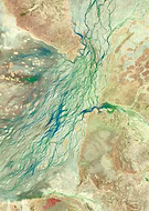 collection-preview-1