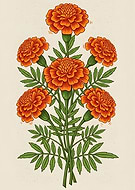 2025-11-26/da19c927-190a-4511-b83f-9409be6cc10a