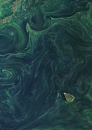 collection-preview-1