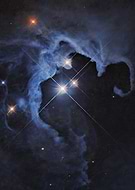 collection-preview-1