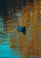 2025-11-26/fea8fd68-af09-4762-b99e-0a6845811067