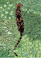 2025-11-27/c946f618-d1d8-4800-8b39-d8d7ca0530eb