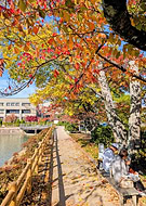 2025-11-28/4577568f-3ce9-4448-a54f-5bd67f5bfcdb