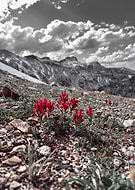 2025-11-29/a87bc65b-5781-4521-aa8c-11a0c68bc9d4