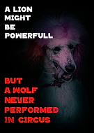 2025-11-30/1aa97b6c-a6de-43f6-8bbb-1df77c504c65