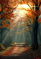 2025-11-30/5a7c7015-9f37-4207-9f66-db8b16582496