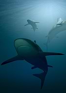 2025-11-30/fbb02966-233d-4704-8e96-0d8217908625