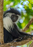 2025-12-03/34177114-84b6-40a1-a8e6-ef865bed363e