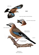 2025-12-03/80276021-6626-499c-97f3-1b9b7635afd5