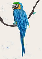 2025-12-04/46336ab5-e532-49d1-a037-f470fc5c2cd9