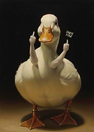 2025-12-04/66cd04f9-5358-407b-ba6b-8df239ccc978