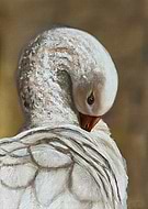 2025-12-05/9603ef73-c7de-4c8c-95d4-2661bc0a0082