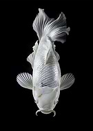 2025-12-06/8c8ed0ee-dda0-4445-b673-38377c720552