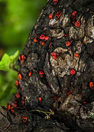 2025-12-07/edca7907-0cf6-45a7-a777-3d4527e6a93c