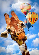 2025-12-08/1372ead1-7e88-4277-95c1-b36dd0fe7667