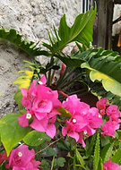 2025-12-08/350c1282-7345-4c7e-89c9-c6b50b9aa343