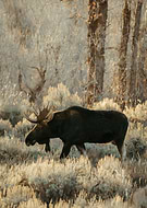 2025-12-09/157d7f2e-7a13-40e6-847b-035a860a4b4e