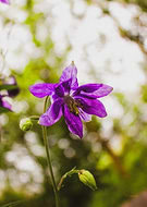 2025-12-09/cf0a822d-d538-4055-93bb-03d78af643b2