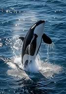 2025-12-10/78a4b759-c859-4df0-9384-feb875241ce9