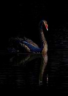 2025-12-11/5732412d-f797-4429-b58d-f34d50d4dc95