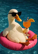 2025-12-12/d024c634-0b96-4bcc-9a5c-773755b67a7e