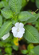 2025-12-14/2b3bcf41-3414-4f36-9813-8d6e66c807e7