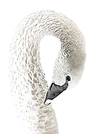 2025-12-14/4243bcba-45d3-434d-80f3-c84bc404a1a0