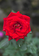 2025-12-14/5f9310a4-225e-4234-aa2d-2b6f5723c08e