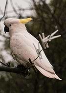 2025-12-14/6a0366f5-d090-4b3d-b08f-a247bcc326d9