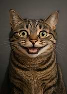 2025-12-14/ae9908f9-98a3-495d-ab88-33b61a3e65bb