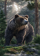 2025-12-14/db89c748-70ed-413d-942d-07da6bc22c2a