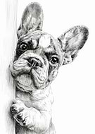 2025-12-15/38a048a1-c1af-47bc-b166-268f6e9ab4a6