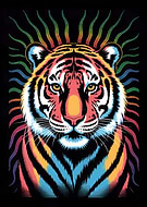 2025-12-16/f4ab2c1a-9ff1-495d-bcbc-9910f1de4baf