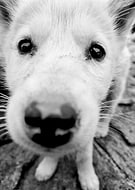 2025-12-17/a87cc739-fdd2-453f-a97c-bffd75df4835