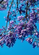 2025-12-17/c0f964aa-6c5f-4d1a-bd48-d47ed9e5f657