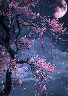 2025-12-19/af26199e-0c89-4326-99f4-f7cf186543ec