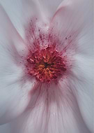 2025-12-20/717f7a1d-57e4-4a42-83dd-2b90248f2a19