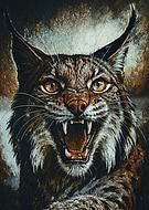 2025-12-22/60e0cef8-ec13-4b17-ac8f-7622b8a3b786